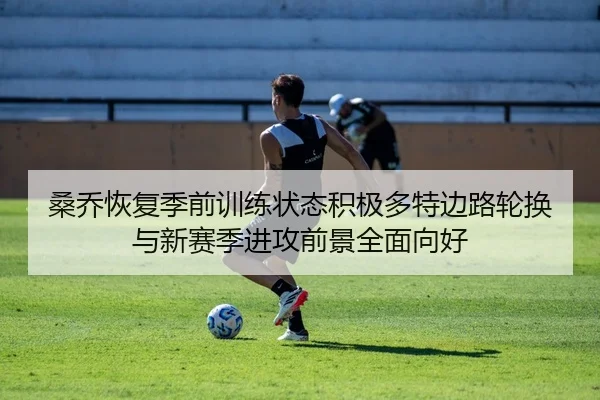 桑乔恢复季前训练状态积极多特边路轮换与新赛季进攻前景全面向好 | kaiyun